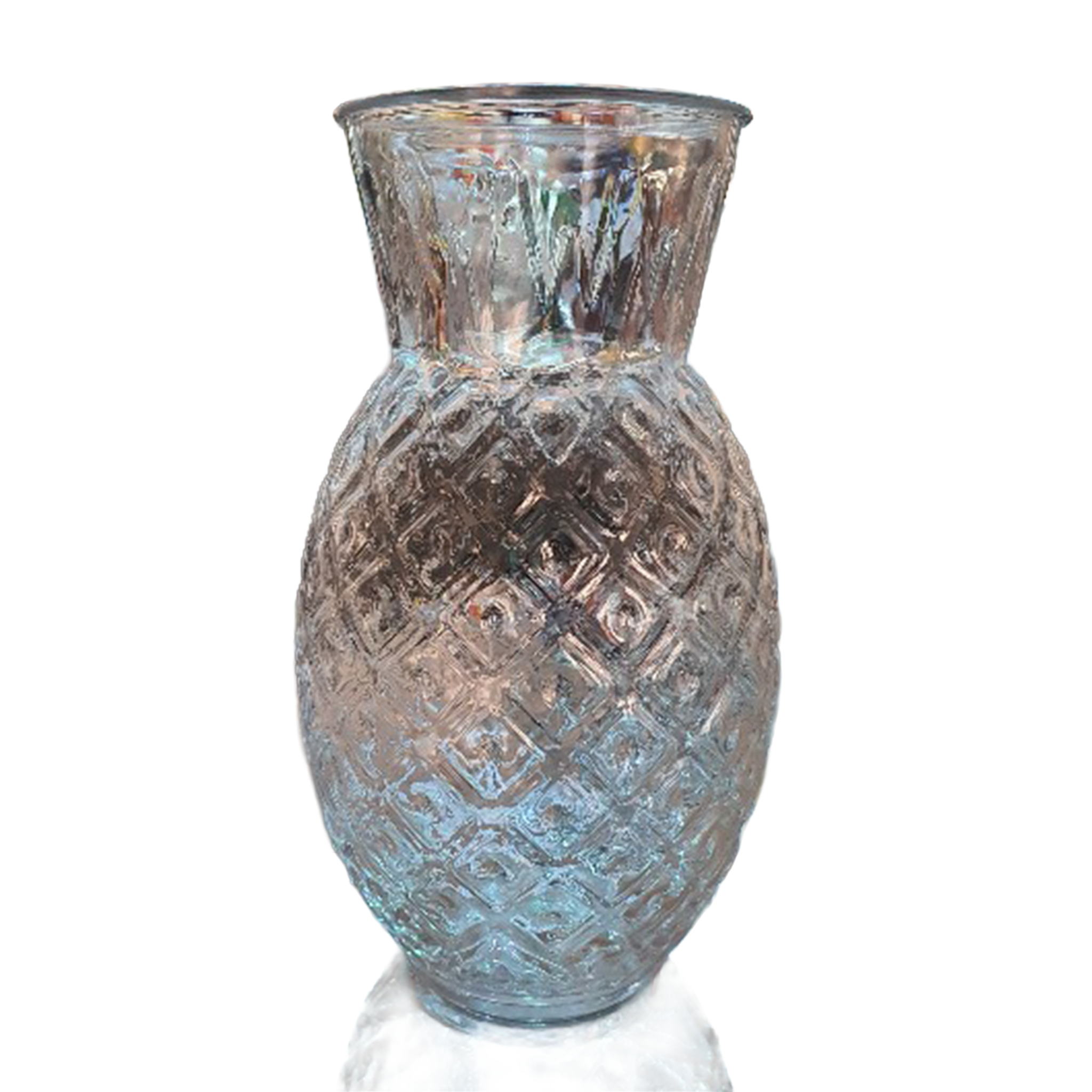 Clear Plastic Pineapple – Global | Be At One