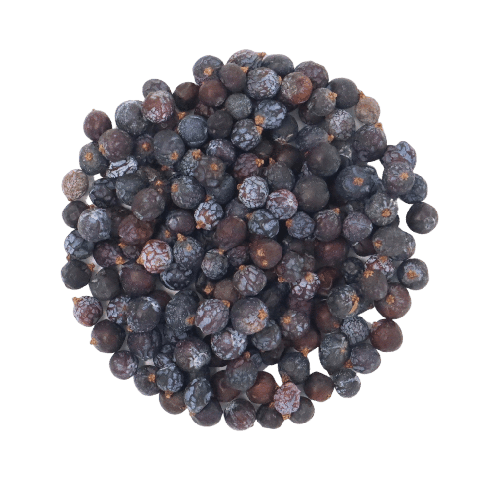 Dried Juniper Berries